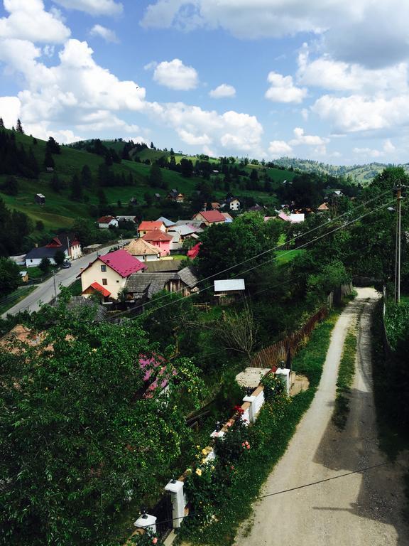 Отель Casa Irinuca Садова Экстерьер фото