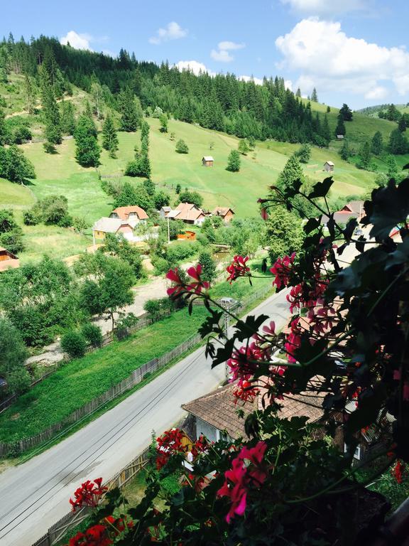 Отель Casa Irinuca Садова Экстерьер фото