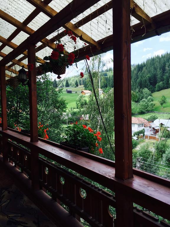 Отель Casa Irinuca Садова Экстерьер фото