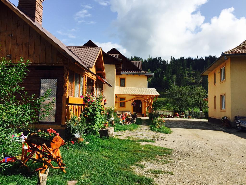 Отель Casa Irinuca Садова Экстерьер фото